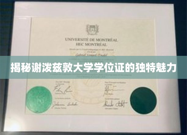 揭秘谢泼兹敦大学学位证的独特魅力