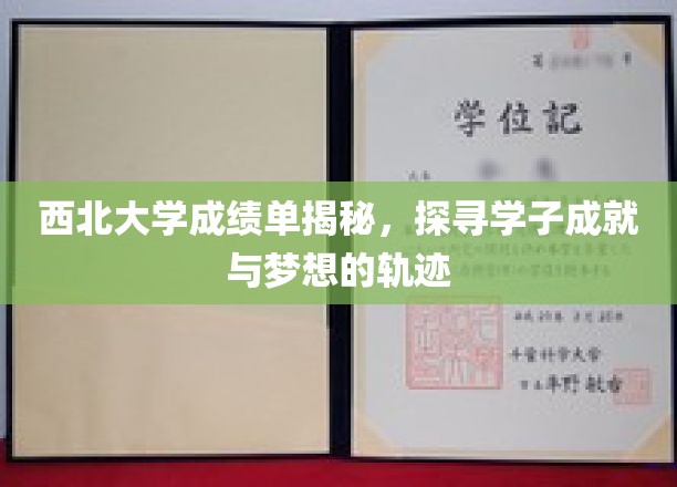 西北大学成绩单揭秘，探寻学子成就与梦想的轨迹