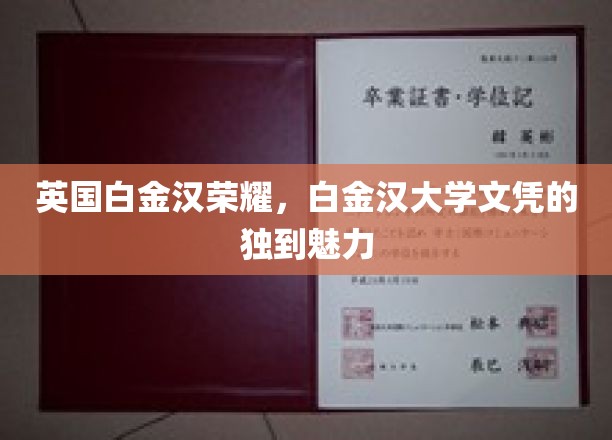 英国白金汉荣耀，白金汉大学文凭的独到魅力