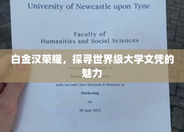 白金汉荣耀，探寻世界级大学文凭的魅力