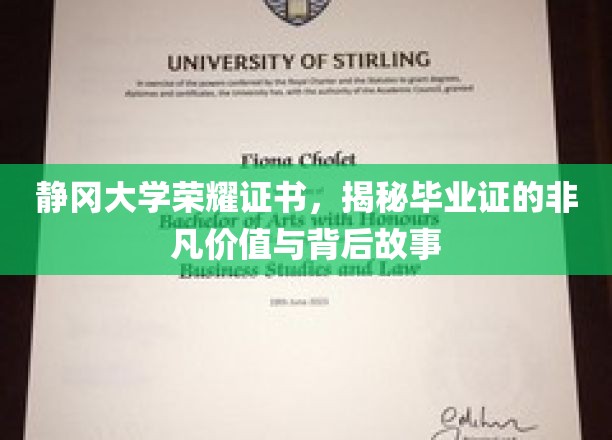 静冈大学荣誉证书，揭秘毕业证的非凡价值与背后故事