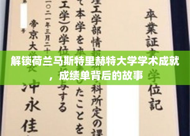 解锁荷兰马斯特里赫特大学学术成就，成绩单背后的故事