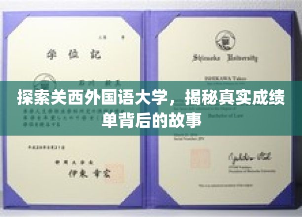 探访关西外国语大学，揭秘真实成绩单背后的故事