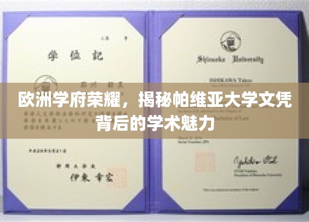 欧洲学府荣耀，揭秘帕维亚大学文凭背后的学术魅力