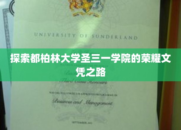 探索都柏林大学圣三一学院的荣耀文凭之路