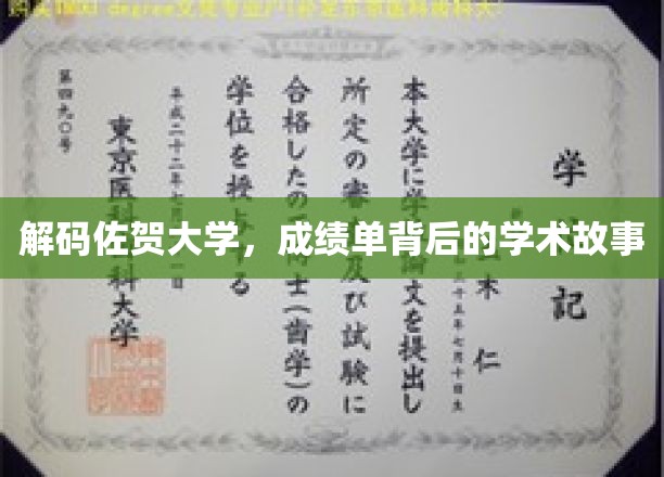 解码佐贺大学：揭开成绩单背后的学术篇章