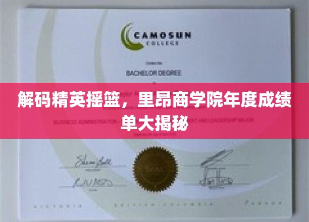 解码精英摇篮，里昂商学院年度成绩单大揭秘