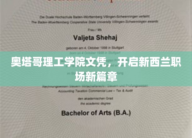 奥塔哥理工学院文凭，开启新西兰职场新篇章