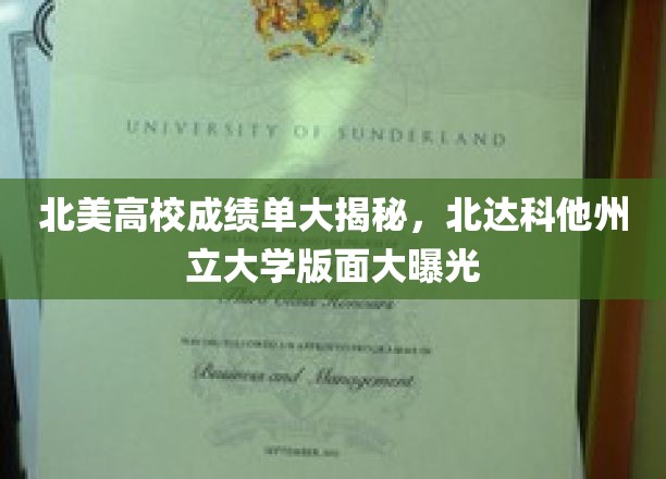 北美高校成绩单大揭秘，北达科他州立大学版面大曝光