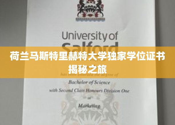 荷兰马斯特里赫特大学独家学位证书揭秘之旅