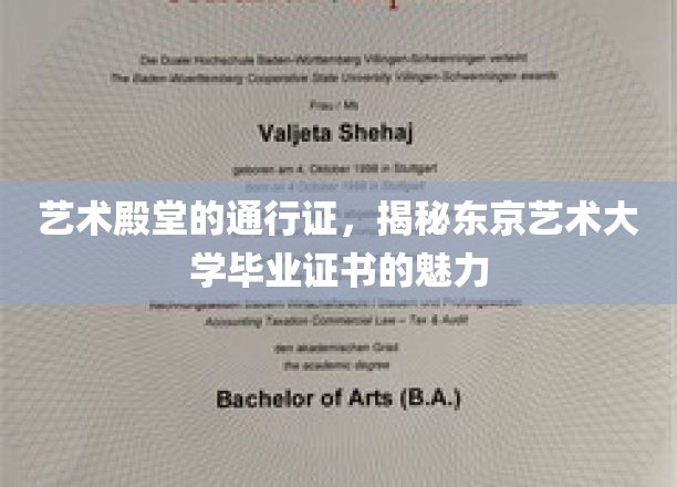 艺术殿堂的通行证，揭秘东京艺术大学毕业证书的魅力