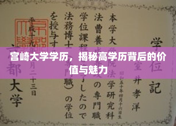 宫崎大学学历，揭秘高学历背后的价值与魅力