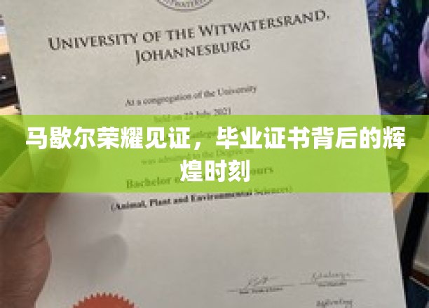 马歇尔荣耀见证，毕业证书背后的辉煌时刻