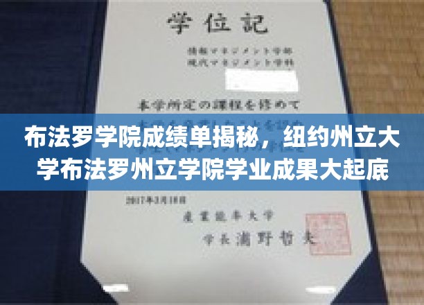 纽约州立大学布法罗学院成绩单深度解析，揭示学业成果的精彩篇章