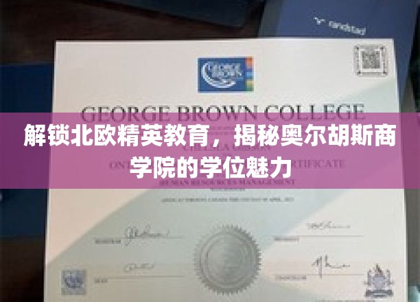 解锁北欧精英教育，揭秘奥尔胡斯商学院的学位魅力
