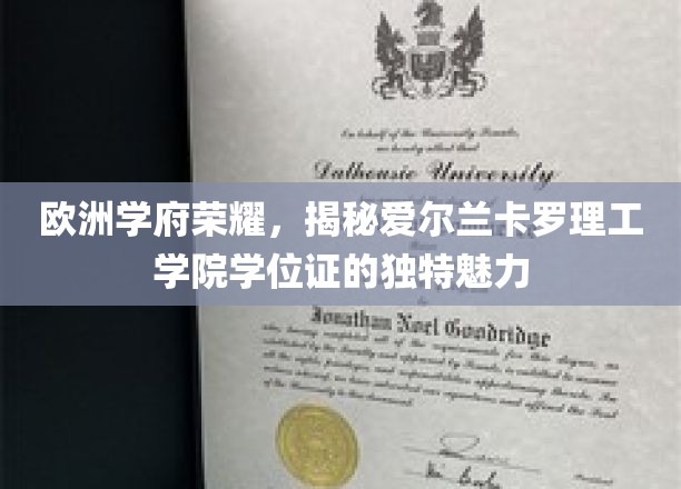 欧洲学府荣耀，揭秘爱尔兰卡罗理工学院学位证的独特魅力