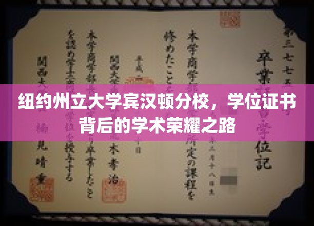 纽约州立大学宾汉顿分校，学位证书背后的学术荣耀之路