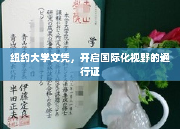 纽约大学文凭，开启国际化视野的通行证