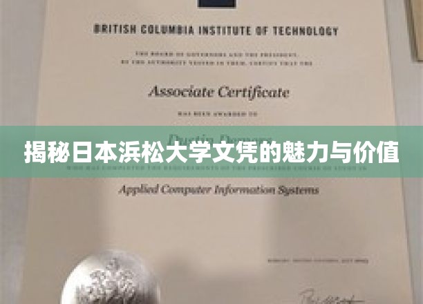 揭秘日本浜松大学文凭的魅力与价值