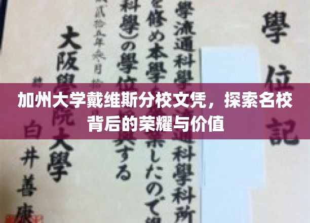 加州大学戴维斯分校文凭，探索名校背后的荣耀与价值