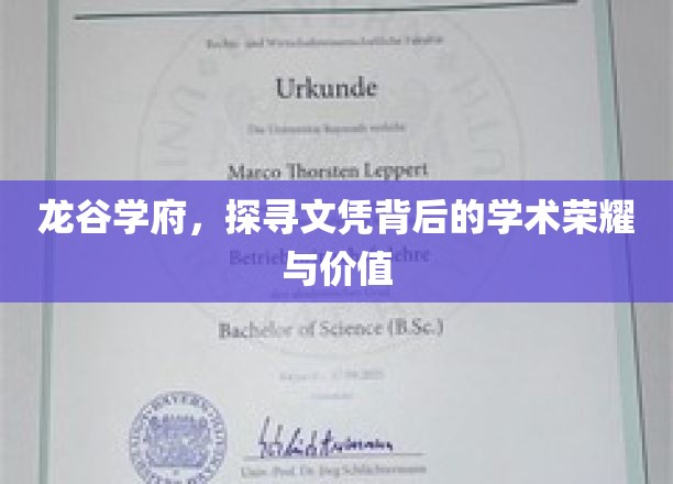 龙谷学府，探寻文凭背后的学术荣耀与价值