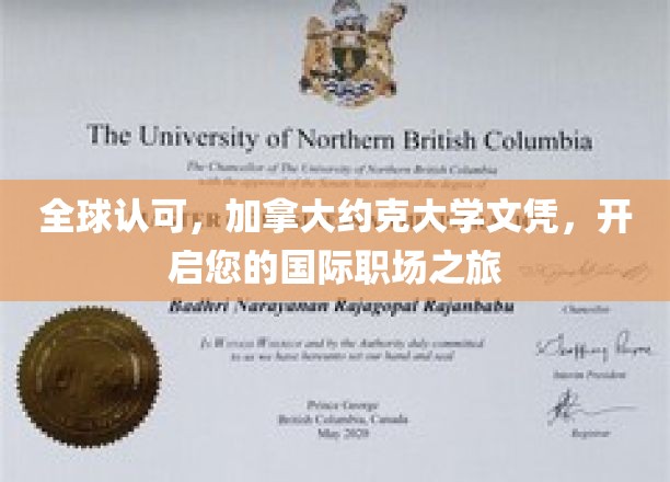 全球认可，加拿大约克大学文凭，助力您的国际职场梦想