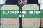 釜山大学学霸养成记，揭秘成绩单背后的秘密