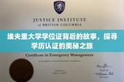 解码埃夫里大学学位证，一场揭秘学历认证旅程的深度揭秘