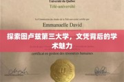 解码图卢兹三大的学术光环，文凭背后的非凡之旅