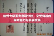 解码圣克鲁斯，加州大学文凭背后的学术传奇与真实面纱