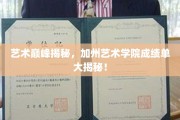 加州艺术学院独家揭秘，艺术精英的成就之路