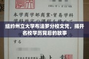 名校光环下的真实，布法罗分校文凭背后的传奇揭秘