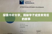 千叶大学学子风采揭秘，成绩单背后的奋斗轨迹
