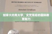 探索约克大学，文凭背后的全球教育风采