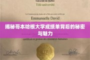 解锁哥本哈根大学成绩单的独特风采与深层次解读