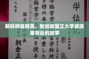 新加坡国大骄子秘籍，揭秘学术巅峰背后的传奇历程