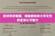 欧洲教育瑰宝，都柏林大学文凭，国际认可的魅力之光