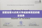 揭开约克大学成绩单背后的神秘面纱