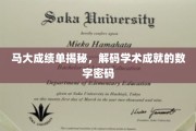 解码马大辉煌，揭秘学术成就的数字轨迹