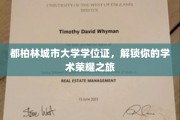 都柏林城市大学学位证，开启你的学术巅峰之旅