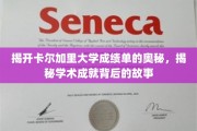 解码卡尔加里大学成绩单，探寻学术辉煌背后的秘密轨迹