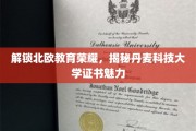 丹麦科技大学证书，解锁北欧教育高品质的秘密钥匙