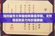 解码纽约城市大学赫伯特莱曼学院，文凭背后的力量与价值