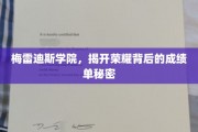 梅雷迪斯学院，揭秘荣耀背后的成绩单之谜