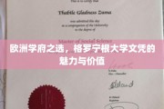 解锁欧洲教育高地，格罗宁根大学文凭的非凡价值与独特魅力