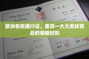 解锁欧洲名校之门，里昂大奖状背后的辉煌瞬间
