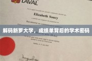 探寻新罗大学，成绩单中的学术奥秘之旅
