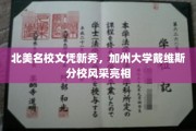 加州新星闪耀，戴维斯分校学子北美校园绽放异彩