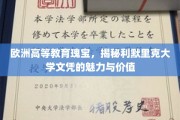 探寻利默里克大学，欧洲教育高地中的璀璨文凭之谜