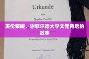 探寻谢菲尔德大学荣耀背后的传奇历程